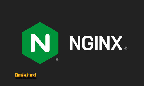 nginx چیست ؟