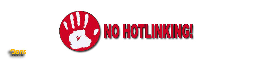 چطور از Hotlinking در امان باشیم؟