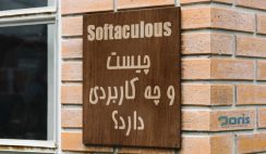 Softaculous چیست