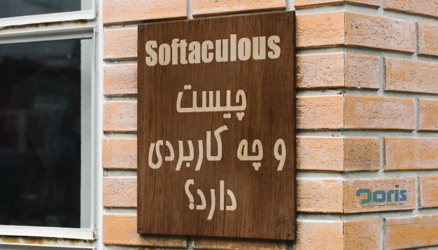 Softaculous چیست