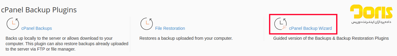 cPanel Backup Wizard
